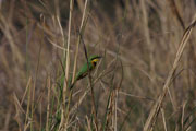 041225_oi2_01.jpg