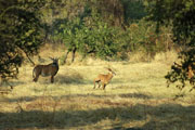 081210_ong_02.jpg