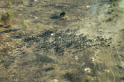 081212_ong_01.jpg