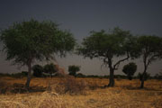 081213_pay_03.jpg