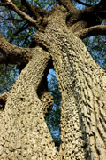 090225_pay_01.jpg