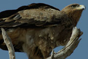 050408_oi1_06.jpg