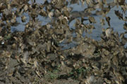 050408_oi2_01.jpg